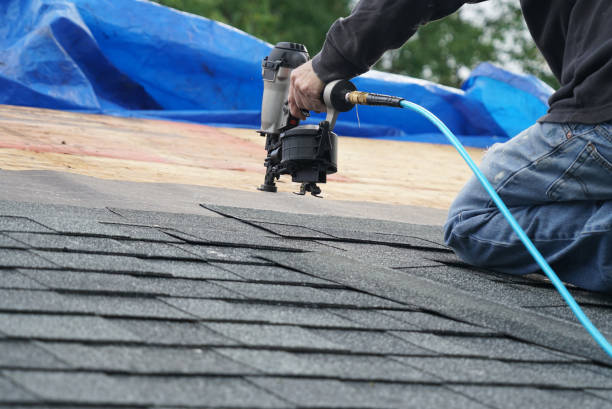 Best Roof Gutter Cleaning  in New Deal, TX